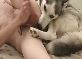 Penetration that pooch's pussy