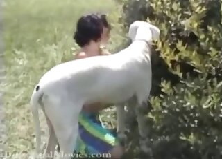 Awesome brunette is being created for nasty sex