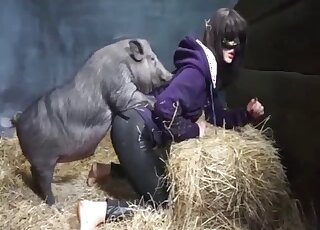 Sensual pig is enjoying hardcore amateur bestiality