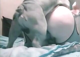 Big booty MILF fucks a dog, hot beastiality pics